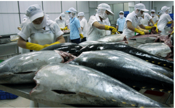 Xuất khẩu cá ngừ tăng đột biến trong quý I/2022