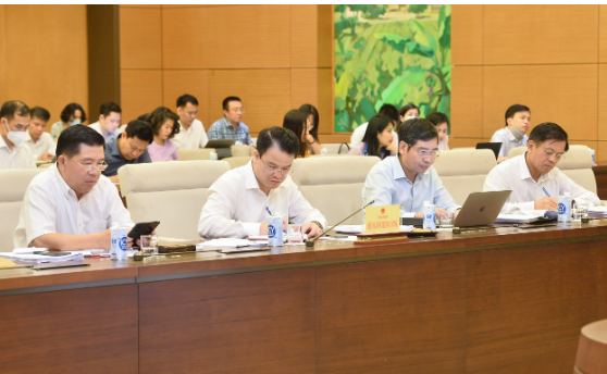 Các đại biểu tham dự phiên giải trình
