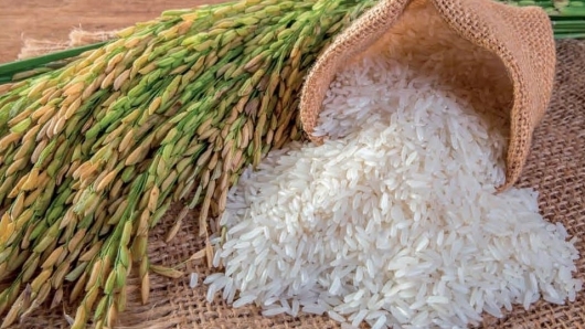 Giá gạo hôm nay 8/5: Bật tăng