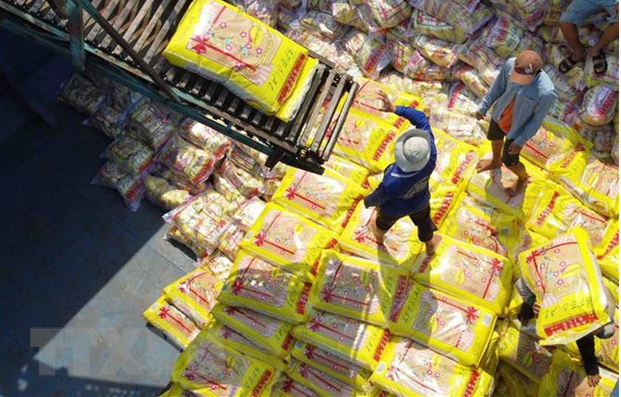Vận chuyển gạo xuất khẩu tại nhà máy chế biến Tân Thạnh (thuộc Vinafood2). (Ảnh: Vũ Sinh/TTXVN)