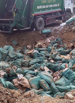 Lạng Sơn: Tiêu hủy lô chân gà đông lạnh 19 tấn đã hư hỏng