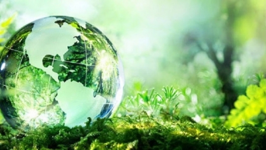 Hoàn thiện dự thảo Nghị định quy định chi tiết một số điều của Luật Bảo vệ môi trường 2020