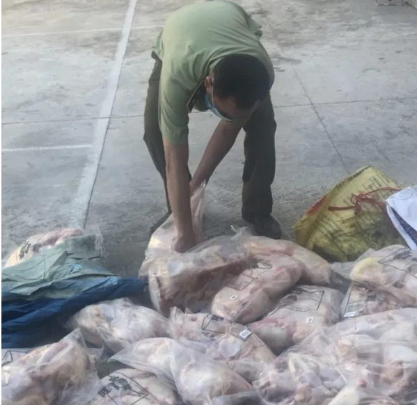 Nghệ An: Tiêu hủy 170 kg thịt gà không rõ nguồn gốc, xuất xứ