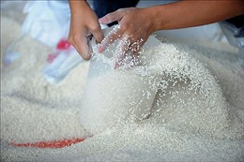Xuất cấp gạo cho 2 tỉnh trong thời gian giáp hạt