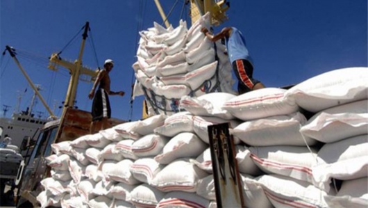 Xuất khẩu gạo sang EU tăng mạnh nhờ Hiệp định EVFTA