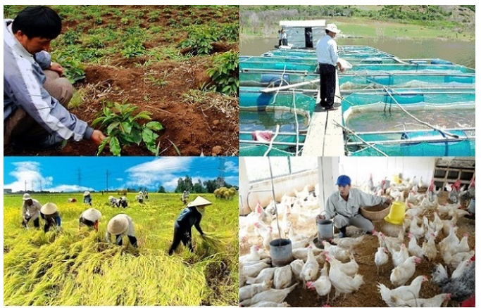 Đối tượng bảo hiểm được hỗ trợ phí bảo hiểm nông nghiệp gồm:  Cây trồng ( Cây lúa);  Vật nuôi (Trâu, bò);  Nuôi trồng thủy sản ( Tôm sú, tôm thẻ chân trắng).