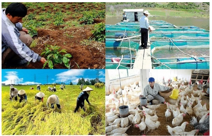 Mức hỗ trợ mới phí bảo hiểm nông nghiệp