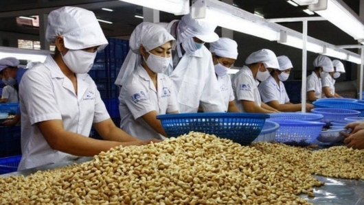 Hỗ trợ doanh nghiệp gia tăng xuất khẩu hạt điều sang Đông và Tây Âu