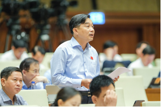 Đại biểu Nguyễn Minh Sơn - Đoàn Đại biểu Quốc hội tỉnh Tiền Giang nêu quan điểm. 