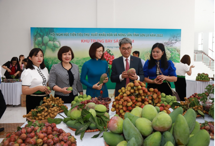 Nhiều hoạt động tại Festival trái cây và sản phẩm OCOP Việt Nam tại Sơn La