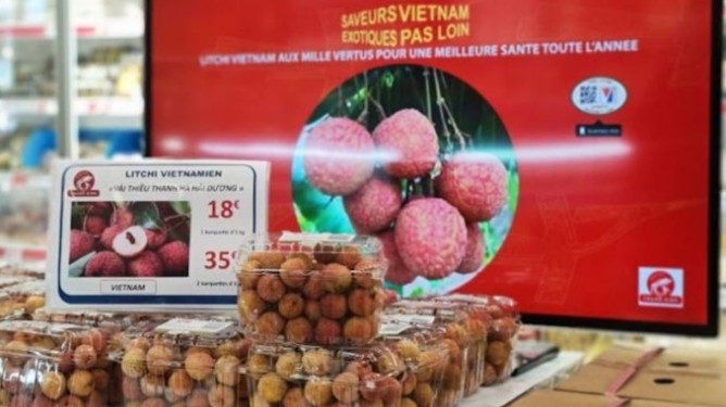 Doanh nghiệp Việt cần chuẩn bị kỹ lưỡng trước khi tiếp cận thị trường Pháp