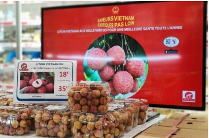 Giao thương với Pháp: Doanh nghiệp Việt cần chuẩn bị kỹ lưỡng | Báo Công Thương