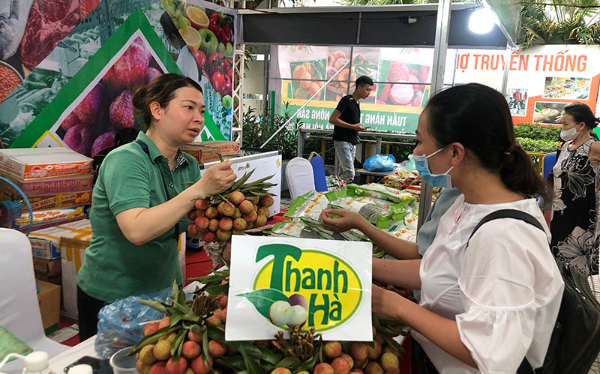 Người tiêu dùng mua vải thiều Thanh Hà (Hải Dương) tại lễ khai mạc Tuần hàng trái cây, nông sản các tỉnh và TP Hà Nội 2022.