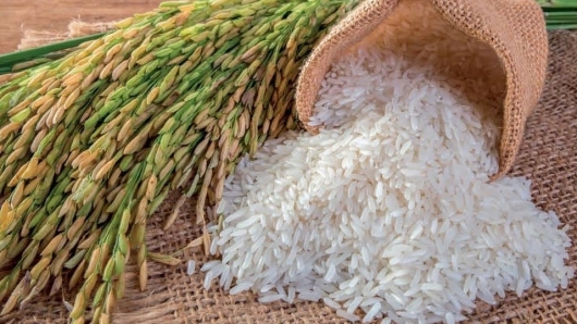 Giá gạo hôm nay 2/6: Tiếp tục giảm