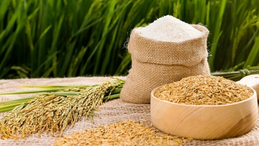 Giá gạo hôm nay 4/6: Sụt giảm nhẹ