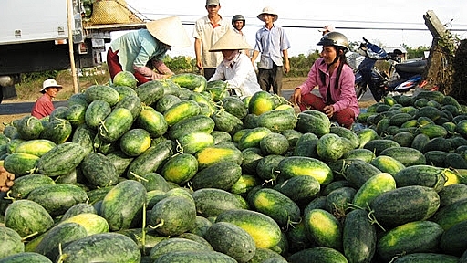 Bộ Công Thương đề nghị dành luồng xanh - luồng ưu tiên cho nông sản khi chính vụ Bộ Công Thương đề nghị dành luồng xanh - luồng ưu tiên cho nông sản khi chính vụ
