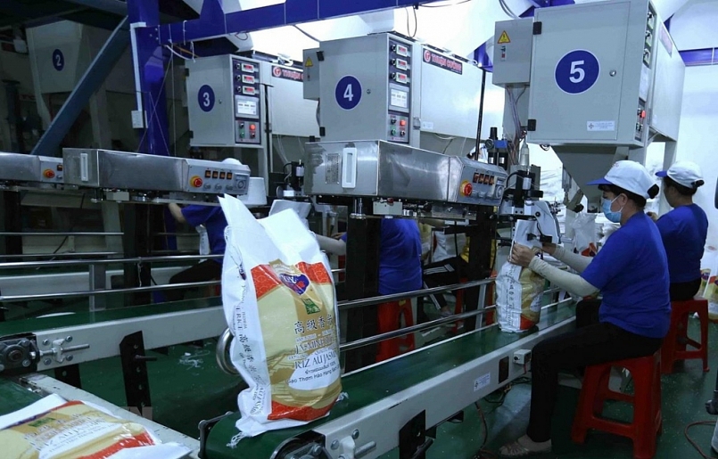 Xuất khẩu gạo 5 tháng đầu năm tăng hơn 11% về lượng Xuất khẩu gạo 5 tháng đầu năm tăng hơn 11% về lượng