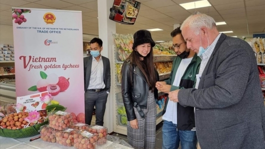 Vải thiều Việt Nam gây “sốt” tại Hà Lan