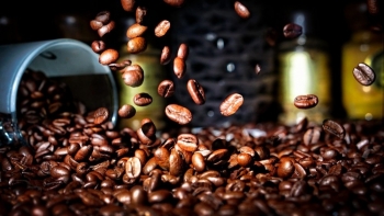 Cập nhật giá cà phê hôm nay 3/6/2022: Tiếp đà tăng mạnh