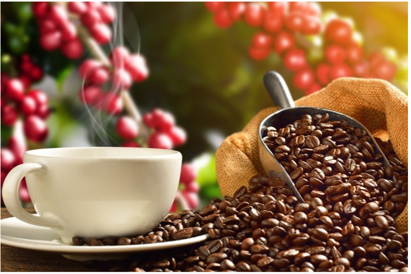 Xuất khẩu cà phê “bùng nổ” trong 5 tháng đầu năm
