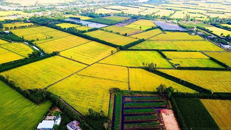 Thúc đẩy phát triển nông nghiệp và nông thôn bền vững vùng ĐBSCL
