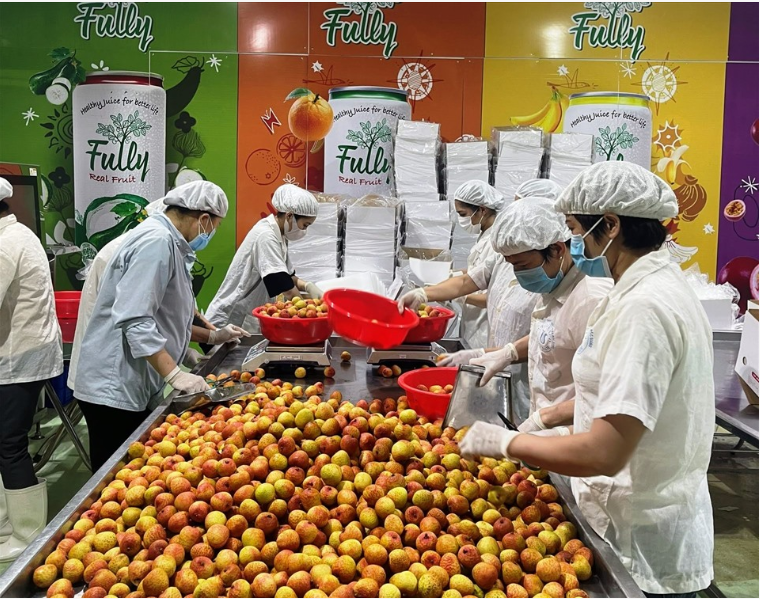 Giao thương trực tuyến thực phẩm chế biến Việt Nam – Nhật Bản 2022