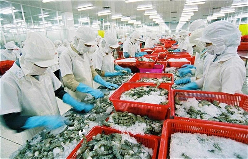 Xuất khẩu tôm sang Trung Quốc tăng trưởng mạnh mẽ