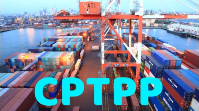 Thuế xuất khẩu ưu đãi thực hiện Hiệp định CPTPP từ 8,3%-3,6%