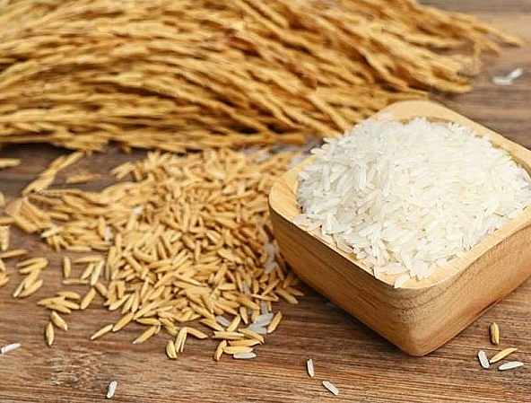 Giá lúa gạo hôm nay 25/6/2022: Giá gạo nguyên liệu tăng