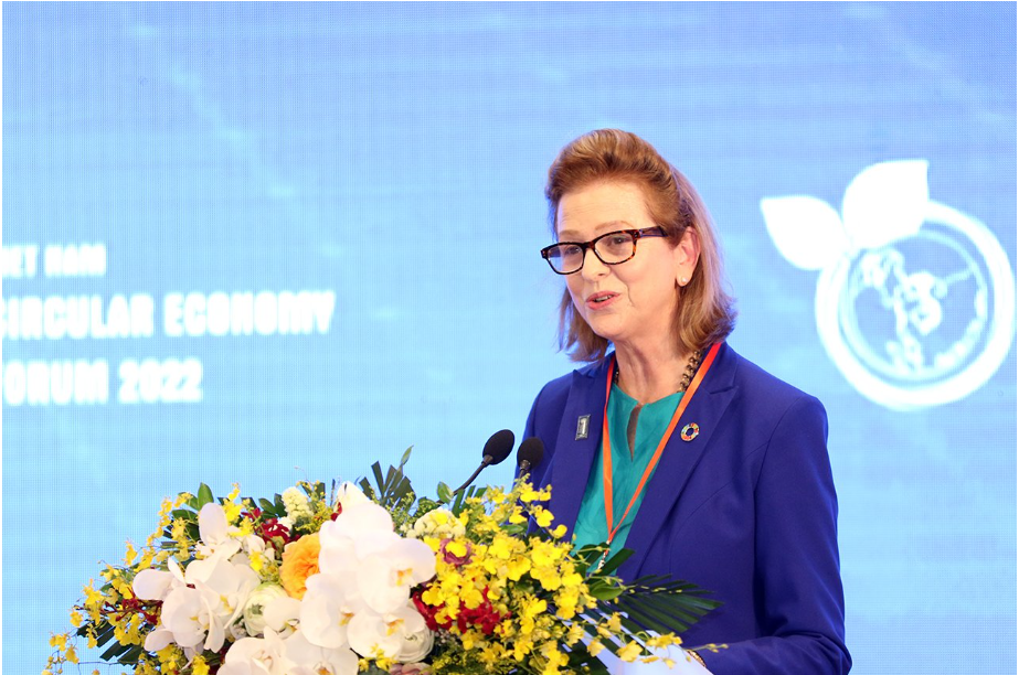 Bà Caitlin Wiesen, Trưởng Đại diện thường trú UNDP tại Việt Nam chia sẻ tại hội nghị. 