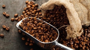 Xuất khẩu cà phê Việt niên vụ 2021/22: Tận dụng lợi thế từ EVFTA