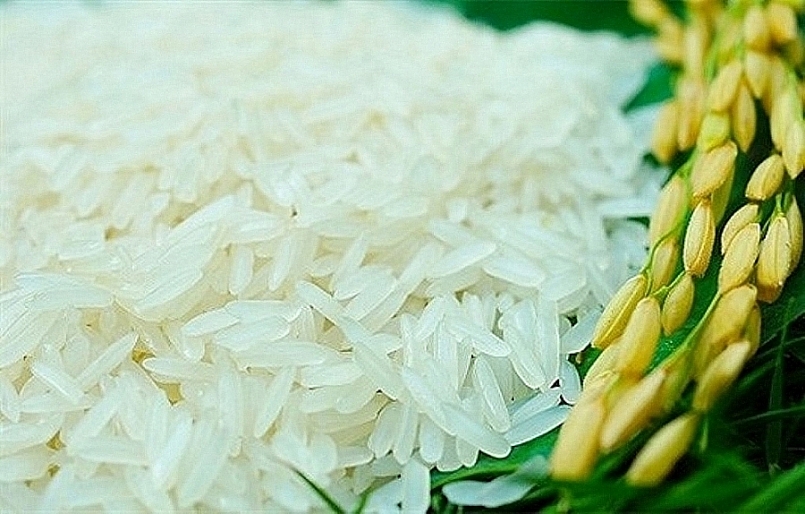 Giá gạo hôm nay 8/7: Duy trì ổn định