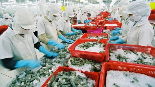 Xuất khẩu tôm năm 2021 có thể đạt 4,2 tỷ USD