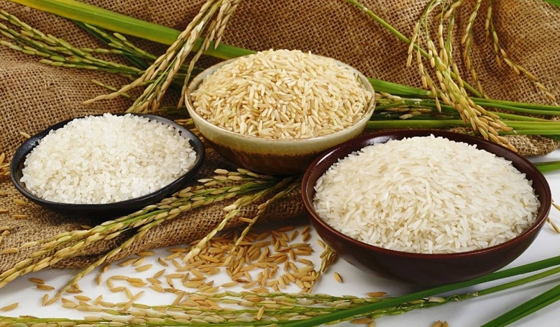 Giá gạo hôm nay 24/7: Xu hướng tăng