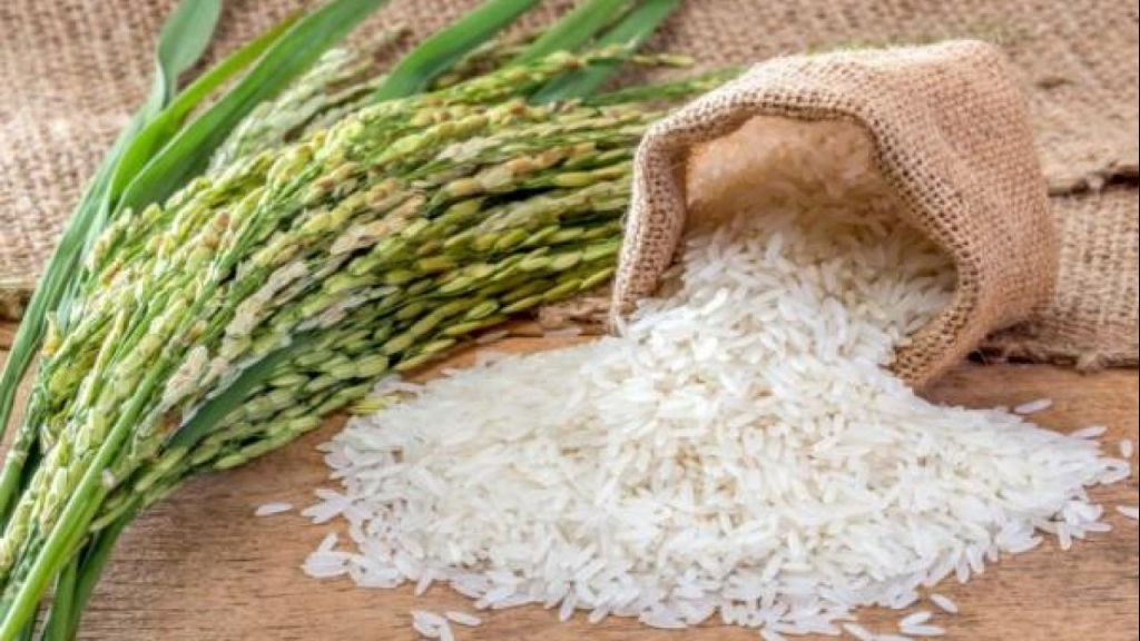 Giá gạo hôm nay 26/7: Giá gạo xuất khẩu giảm mạnh