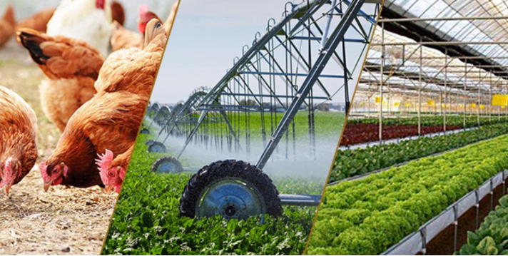Sản xuất nông, lâm nghiệp và thủy sản: Thuận lợi và khó khăn đan xen