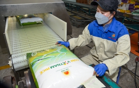 Tập đoàn Lộc Trời xuất khẩu gần 500 tấn gạo mang thương hiệu “Cơm Việt Nam Rice”  sang thị trường châu Âu