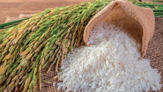 Giá gạo hôm nay 4/8: Giảm mạnh