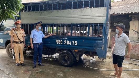Bắc Giang: Xử lý đối tượng vi phạm vận chuyển động vật không có Giấy chứng nhận kiểm dịch