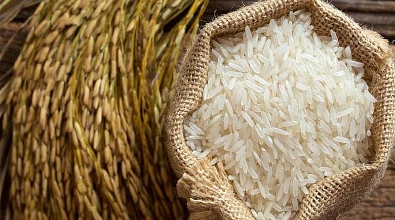 Giá gạo hôm nay 9/8: Duy trì ổn định