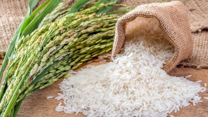 Giá gạo hôm nay 12/8: Ổn định