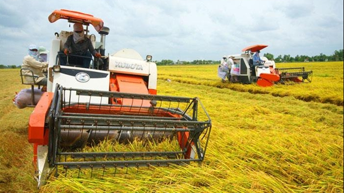 Bộ Công Thương kiến nghị Chính phủ tạo thuận lợi tiếp cận nguồn vốn thu mua thóc, gạo hàng hoá