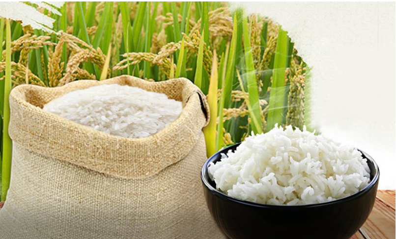 Giá gạo hôm nay 17/8: Ổn định