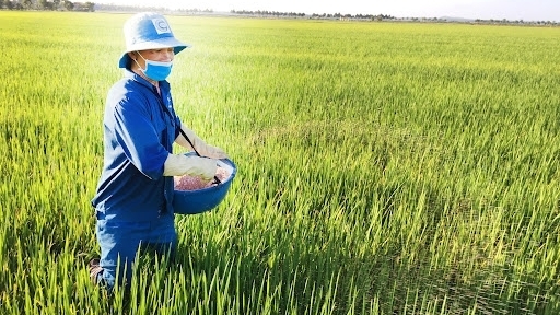 Giá phân bón tăng "phi mã" sẽ "ăn" hết lợi nhuận của nông dân