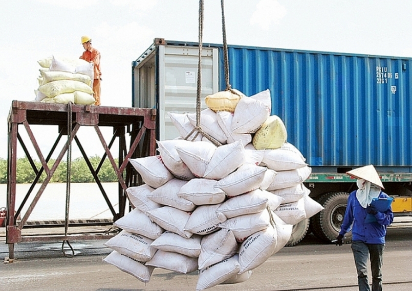 Dịch Covid -19 kéo giá gạo xuất khẩu xuống mức thấp