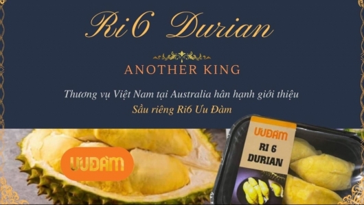 Triển khai nhiều chương trình xúc tiến thương mại Việt Nam - Australia