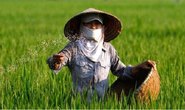 Tuy nhiên, Việc lạm dụng phân bón vô cơ và thuốc BVTV khiến ngành sản xuất nông nghiệp đang phải đối mặt với nguy cơ mất an toàn thực phẩm, ô nhiễm đất, nước… làm giảm khả năng cạnh tranh của hàng nông sản trên thị trường trong nước và quốc tế.