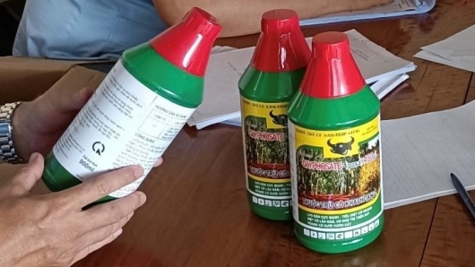 Gia Lai: Phát hiện cửa hàng thuốc bảo vệ thực vật bán sản phẩm chứa chất cấm