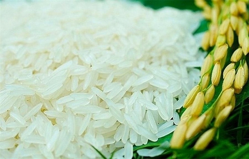 Cập nhật giá gạo hôm nay 23/9: Ổn định