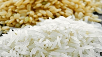 Cập nhật giá gạo hôm nay 24/9: Tăng nhẹ